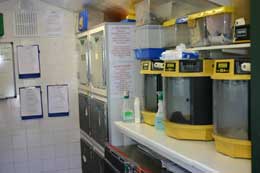 The Original Intensive Care Unit
